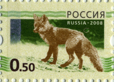 B06_263.jpg