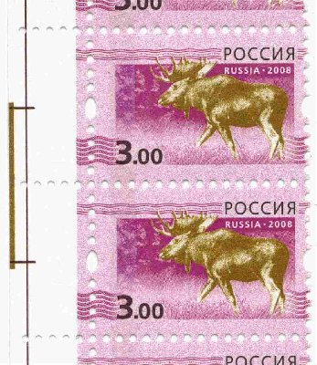 Цвет полосы коричневый