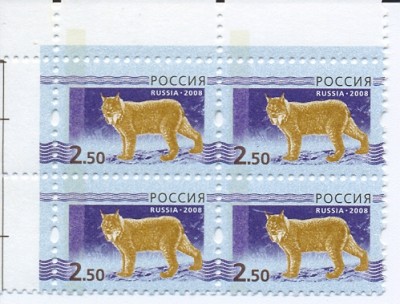 рысь0001.jpg