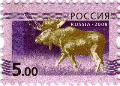 5 р Марашка 1.jpg