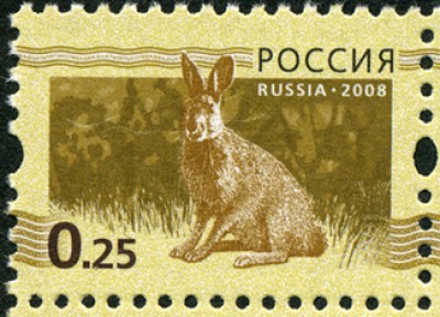 File0014-1.jpg