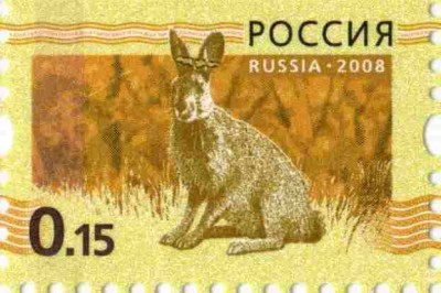 0.15 Бабочка.jpg