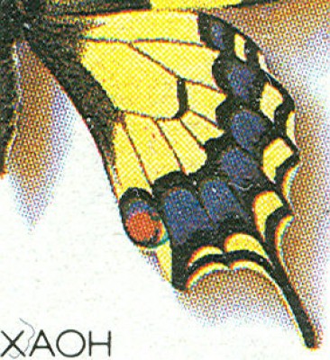 Scan0213.jpg