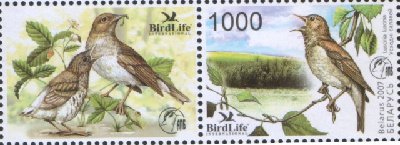 Птица года-2007.jpg