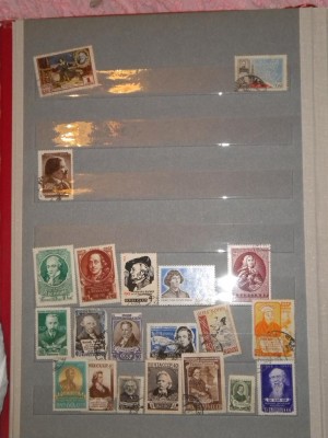 DSCN2710.jpg