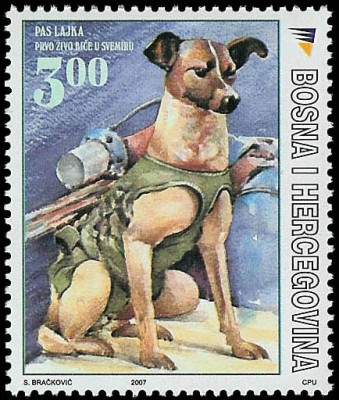 0348BosGer504.jpg