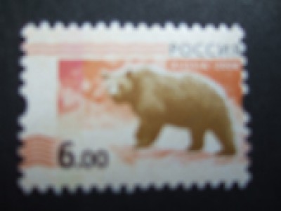 DSCF3453.jpg