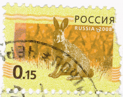 кольцо.png