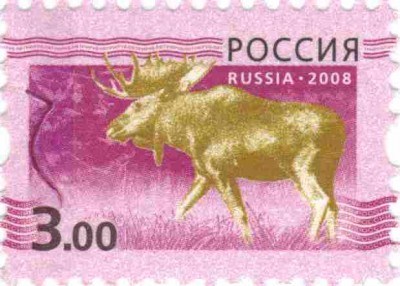 3 р Марашка 6.jpg