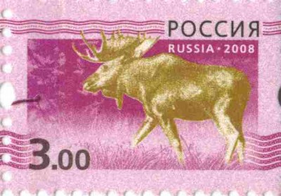 3 р Марашка 4.jpg