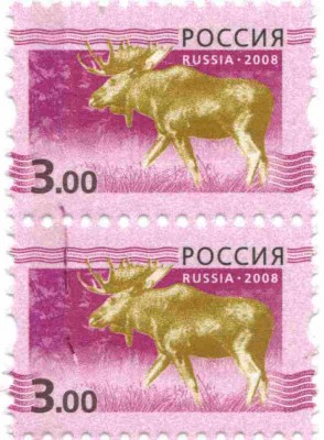 3 р Марашка 1.jpg
