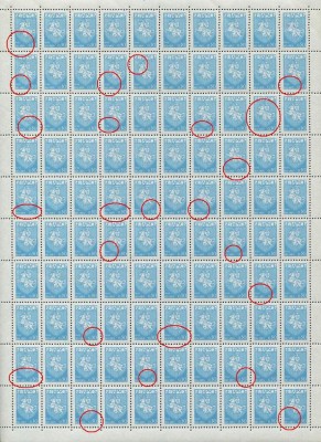 4Sg_000.jpg