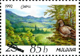 md573i.jpg