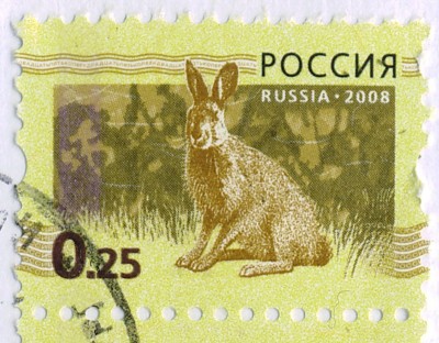 Img0000.JPG