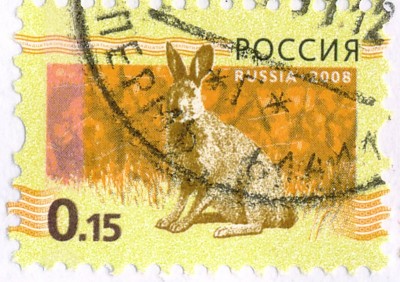 Img0004.JPG