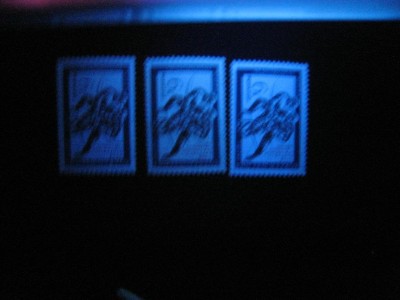 IMG_1211.JPG