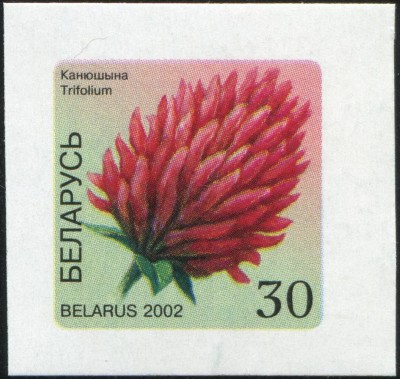 klev05.JPG