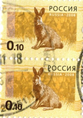 1250V.JPG