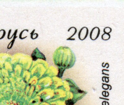 12_2.JPG