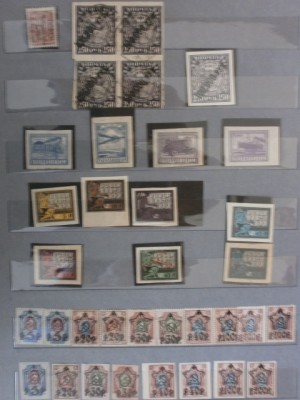 P6020395 (480x640).jpg