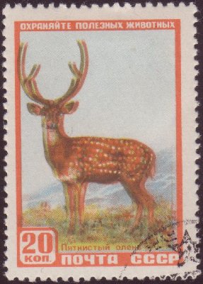 40 001.jpg