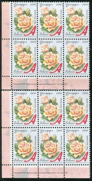st_7_oll_136.JPG