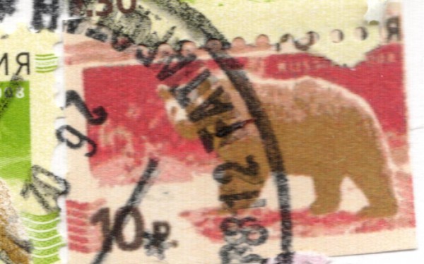 мишка10.JPG