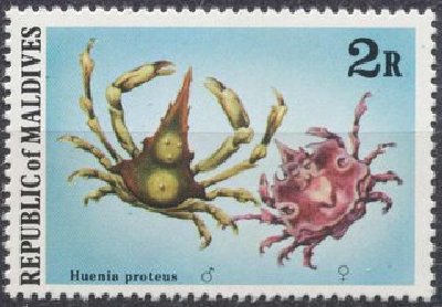 fauna-50.jpg