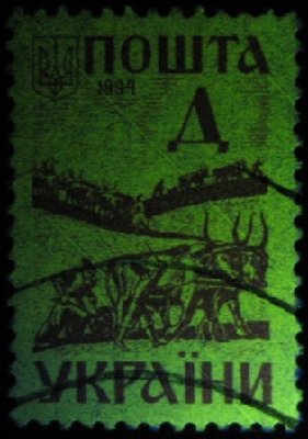 ua0058 желтая.jpg