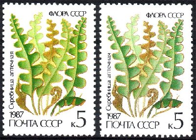 1987 (5782) 5k.jpg