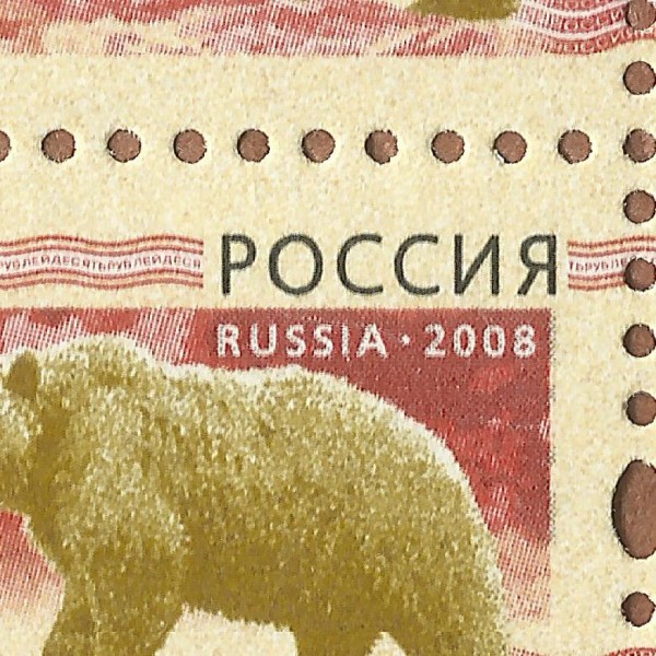 2008 2010 Звери Медведь 2 70++.jpg
